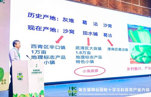 小種子撬動(dòng)大產(chǎn)業(yè) 第五屆邢臺(tái)國際十字花科蔬菜產(chǎn)業(yè)大會(huì)盛大啟帷，展現(xiàn)科技興農(nóng)新圖景