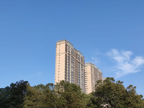 建筑學(xué)家提醒 一樓和頂樓不是最坑，這“三個(gè)樓層”才真正要想辦法避開(kāi)